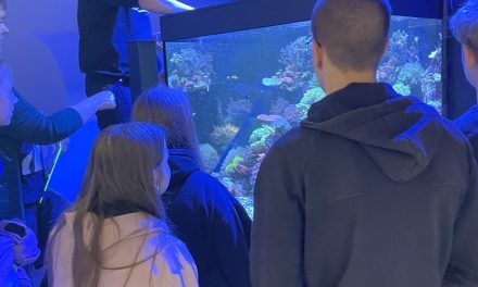 Obisk akvarija v hotelu Hop House