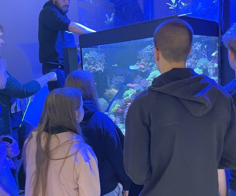 Obisk akvarija v hotelu Hop House
